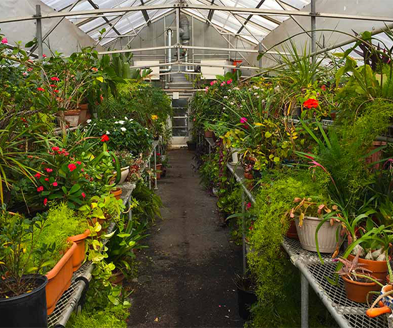 Vivero y Productos de Invernadero